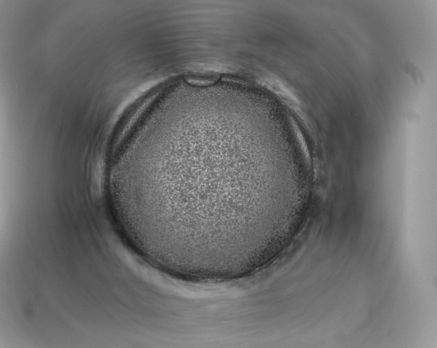 X0000115060012200911091456