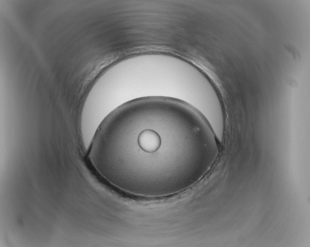 X0000115060013200911091456