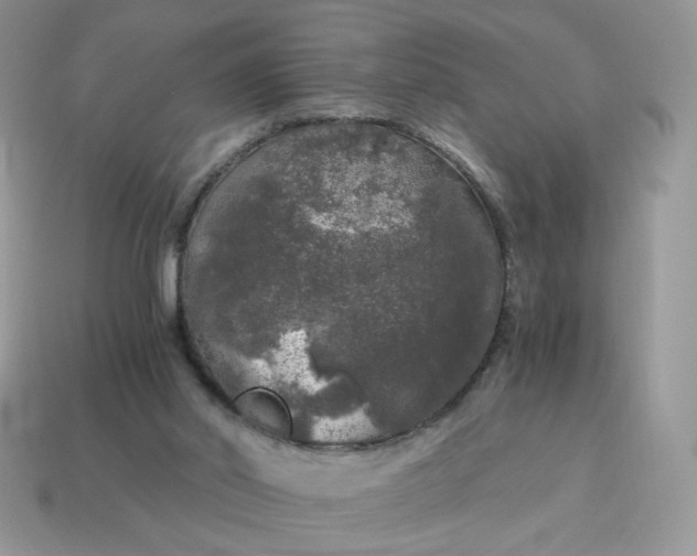 X0000115060014200911091456