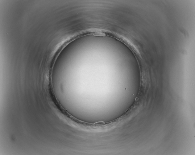 X0000115060015200911091456