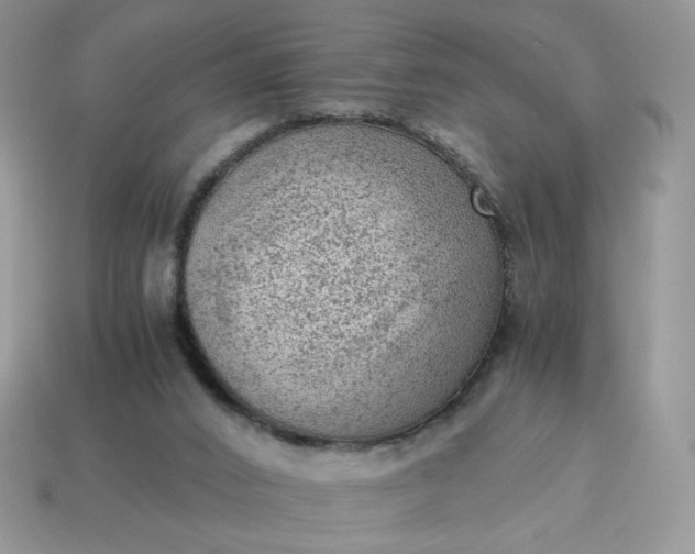 X0000115060016200911091456