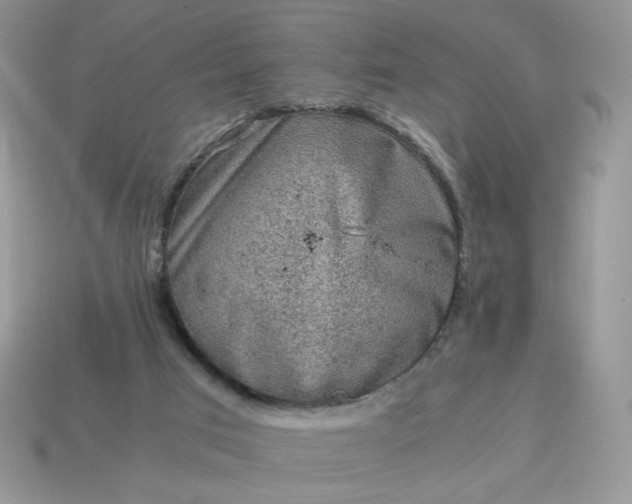 X0000115060017200911091456