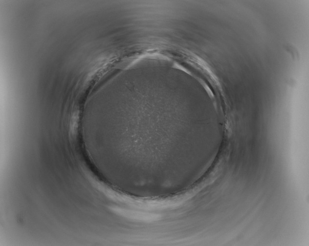 X0000115060018200911091456