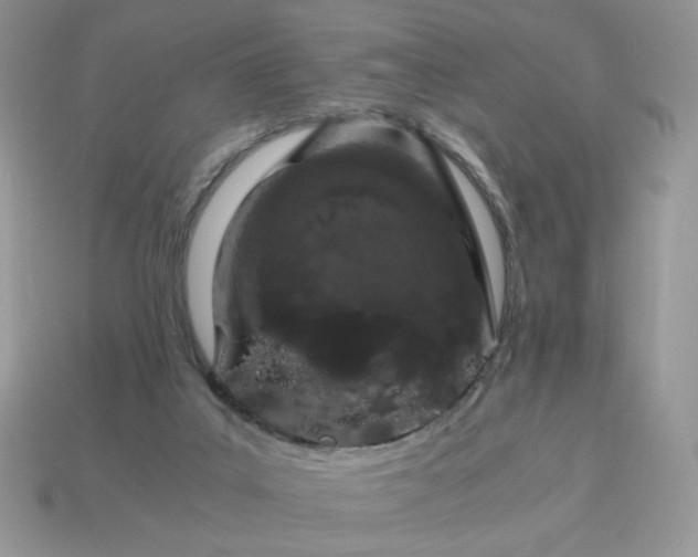 X0000115060019200911091456