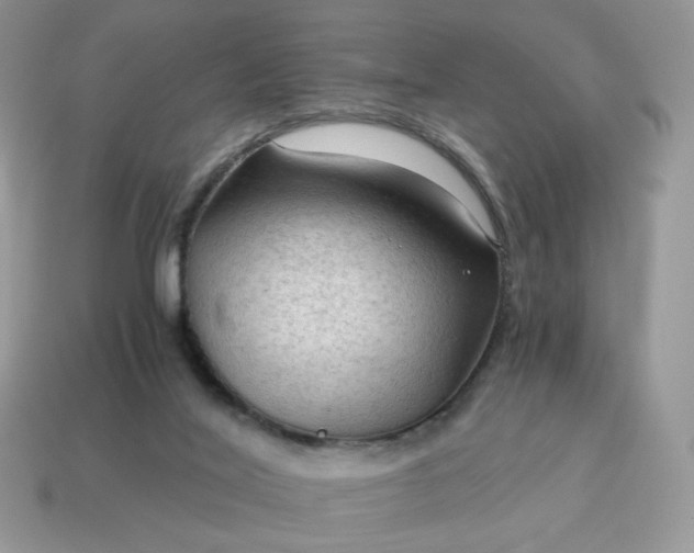 X0000115060020200911091456