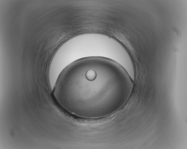 X0000115060021200911091456