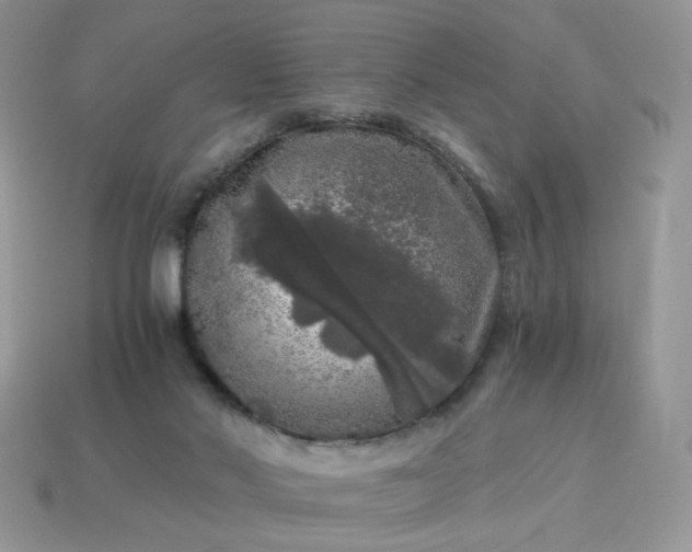 X0000115060022200911091456