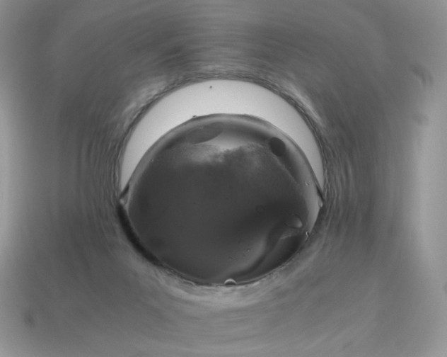 X0000115060023200911091456