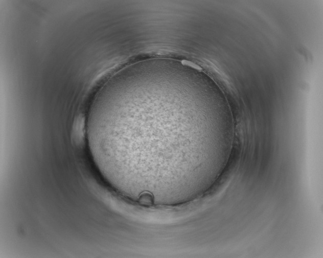 X0000115060024200911091456