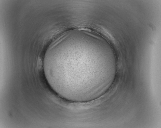 X0000115060025200911091456