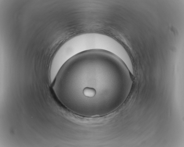 X0000115060027200911091456