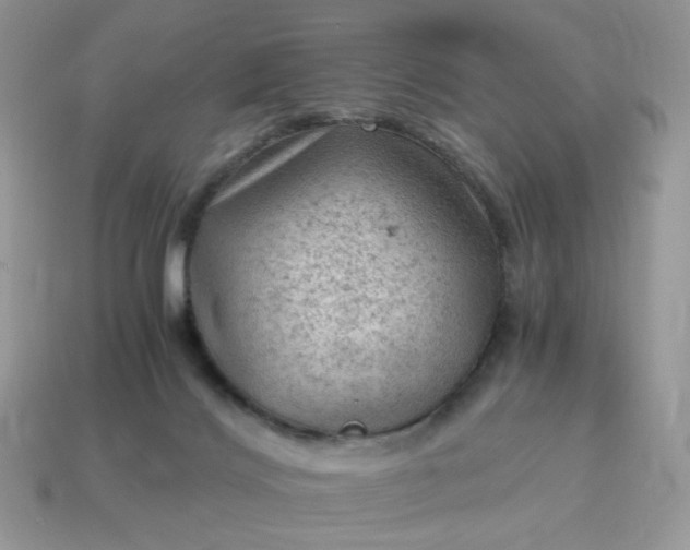 X0000115060028200911091456