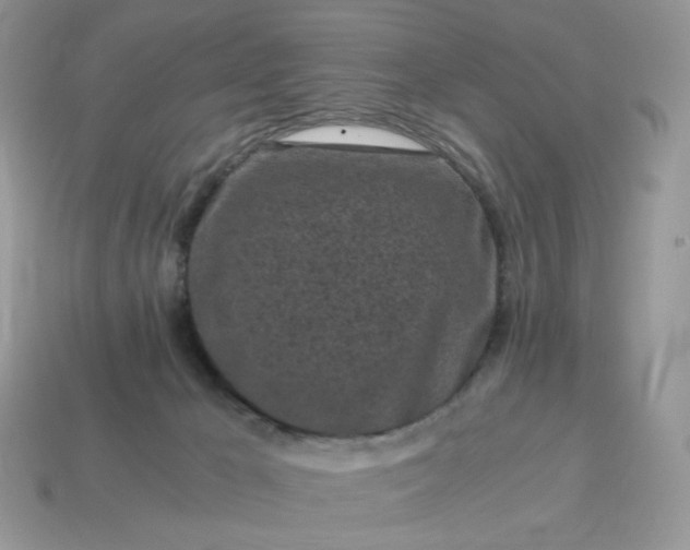 X0000115060029200911091456