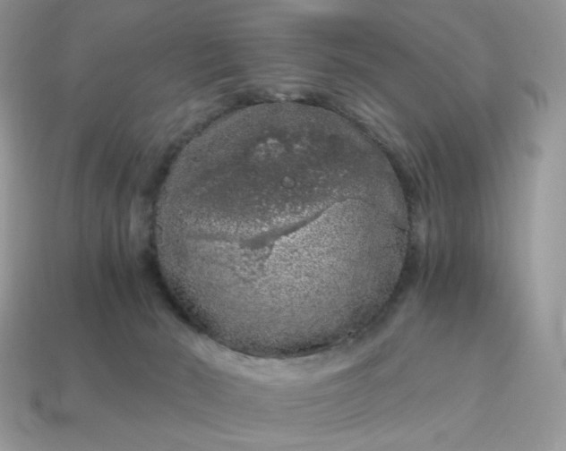 X0000115060030200911091456