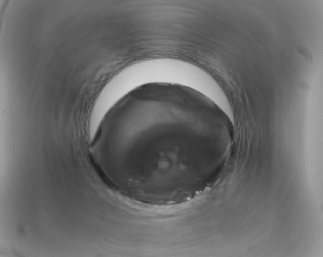 X0000115060031200911091456