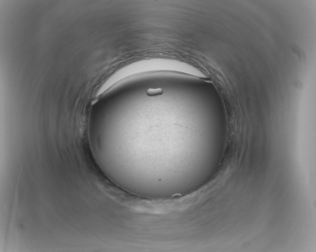 X0000115060033200911091456