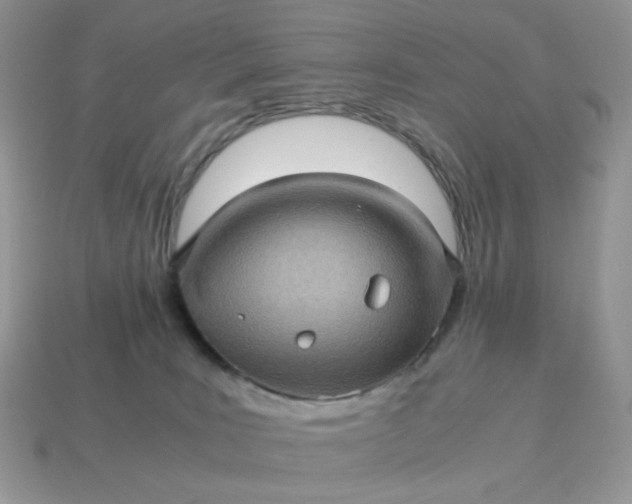 X0000115060035200911091455