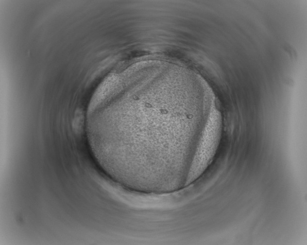 X0000115060036200911091455