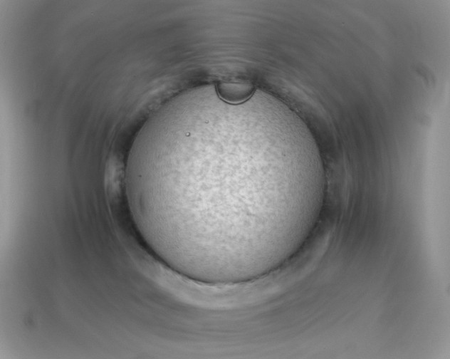 X0000115060038200911091455