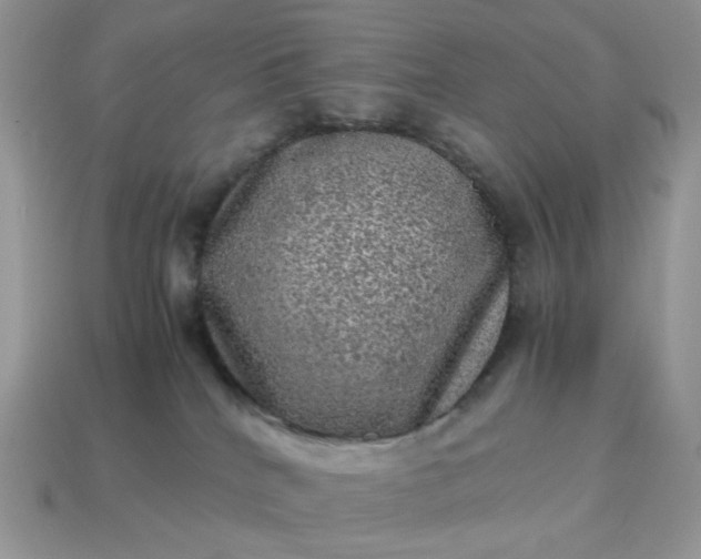 X0000115060040200911091455