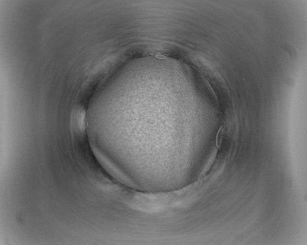 X0000115060041200911091455