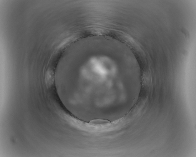 X0000115060043200911091455