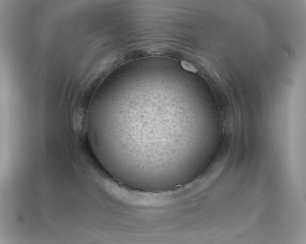 X0000115060044200911091455