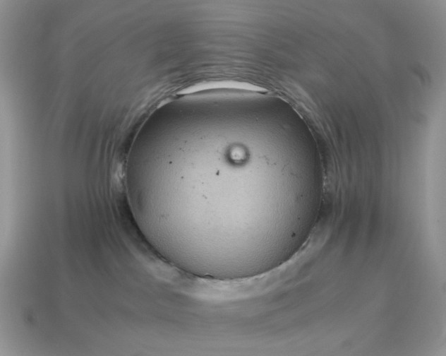 X0000115060045200911091455