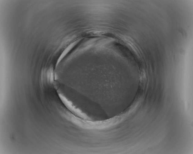 X0000115060046200911091455