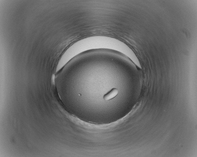 X0000115060047200911091455