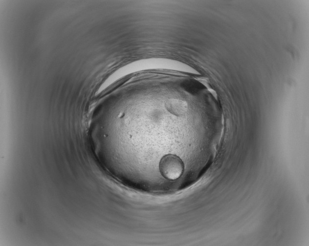 X0000115060048200911091455