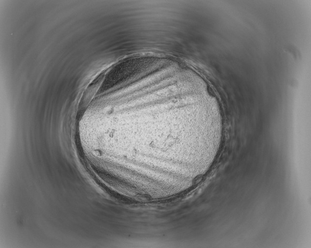 X0000115060049200911091455