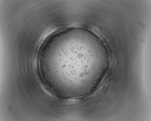 X0000115060050200911091455