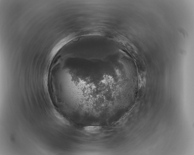 X0000115060051200911091455