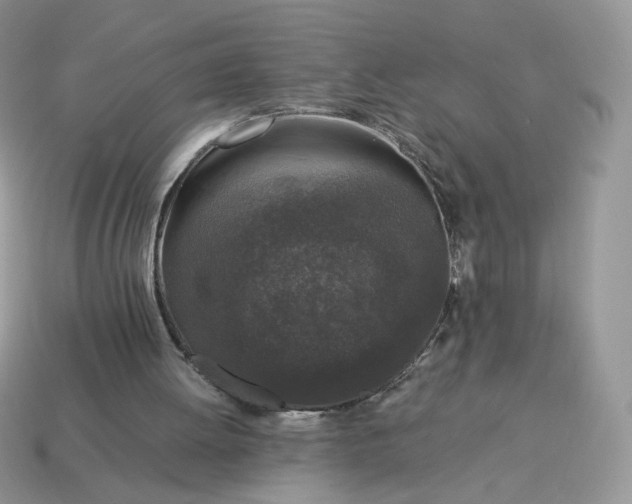 X0000115060052200911091455