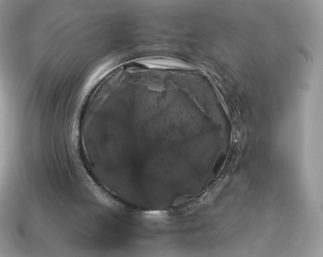 X0000115060053200911091455