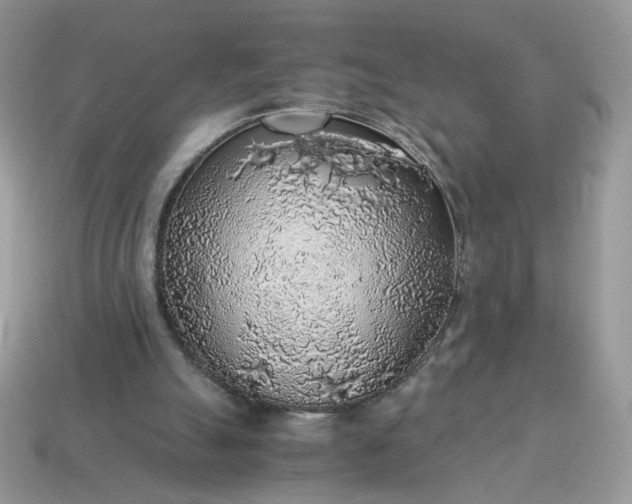 X0000115060055200911091455