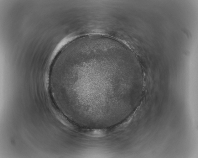 X0000115060056200911091455