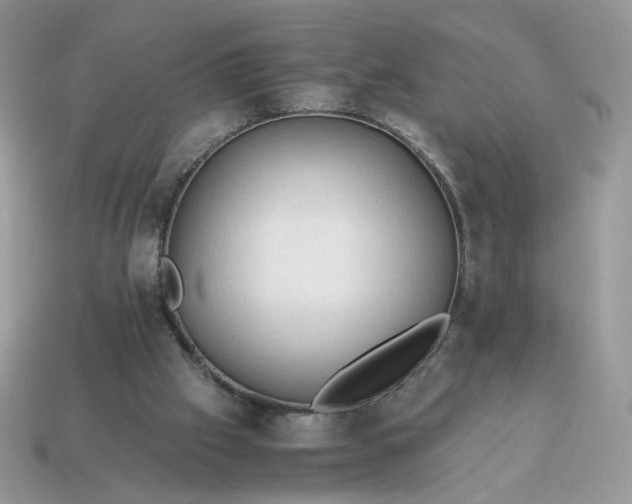 X0000115060057200911091455