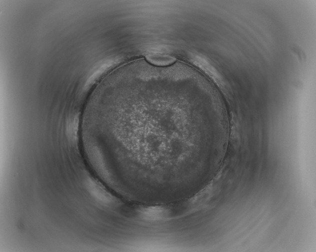 X0000115060058200911091455