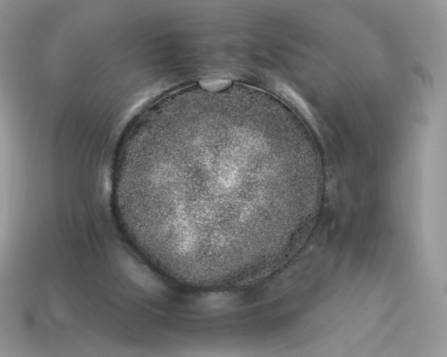 X0000115060059200911091455