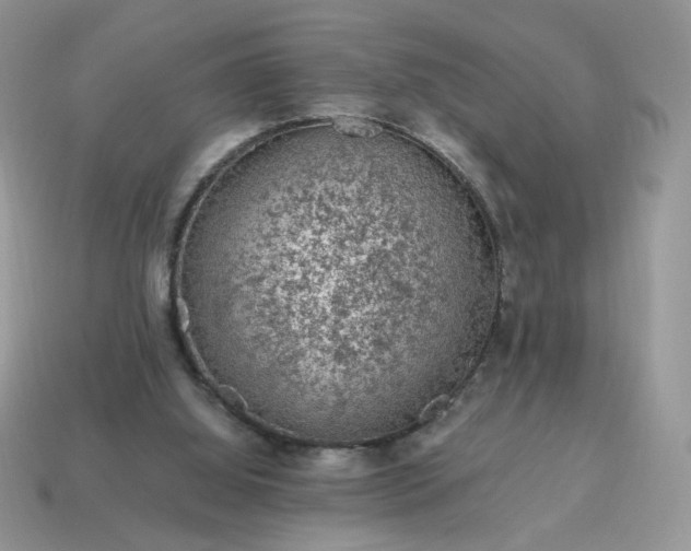 X0000115060060200911091455