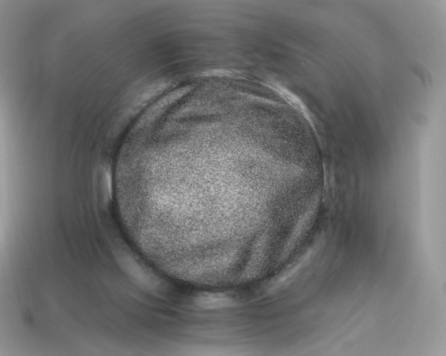 X0000115060061200911091455