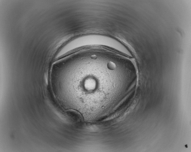 X0000115060062200911091455