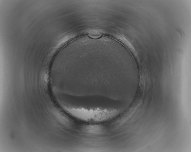 X0000115060063200911091455