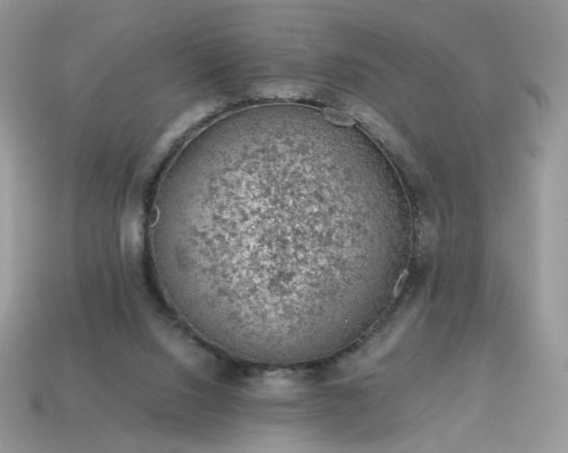 X0000115060064200911091455