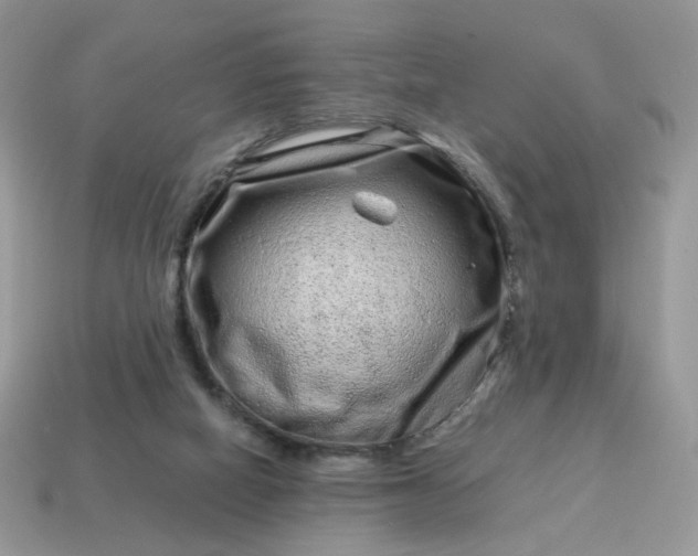 X0000115060066200911091455