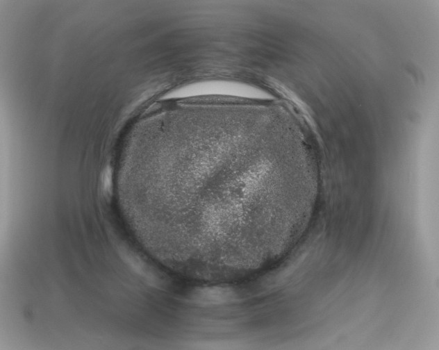 X0000115060067200911091455