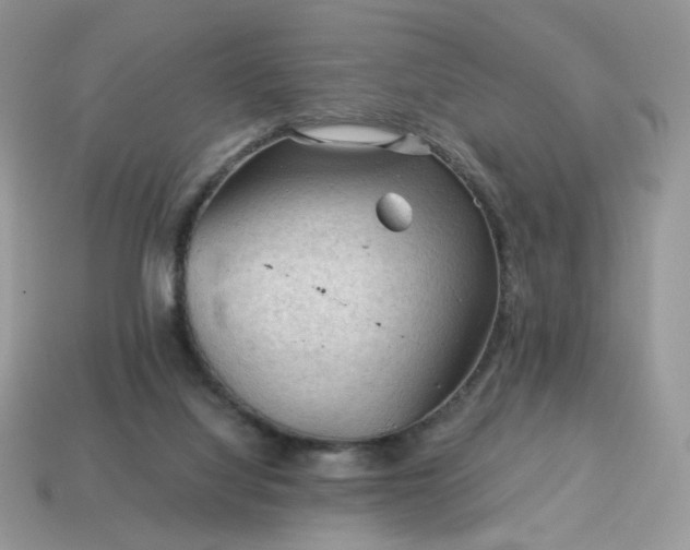 X0000115060068200911091455