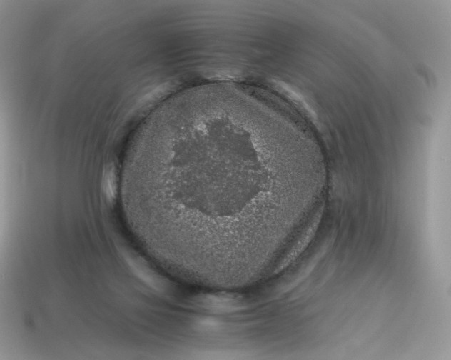 X0000115060069200911091455